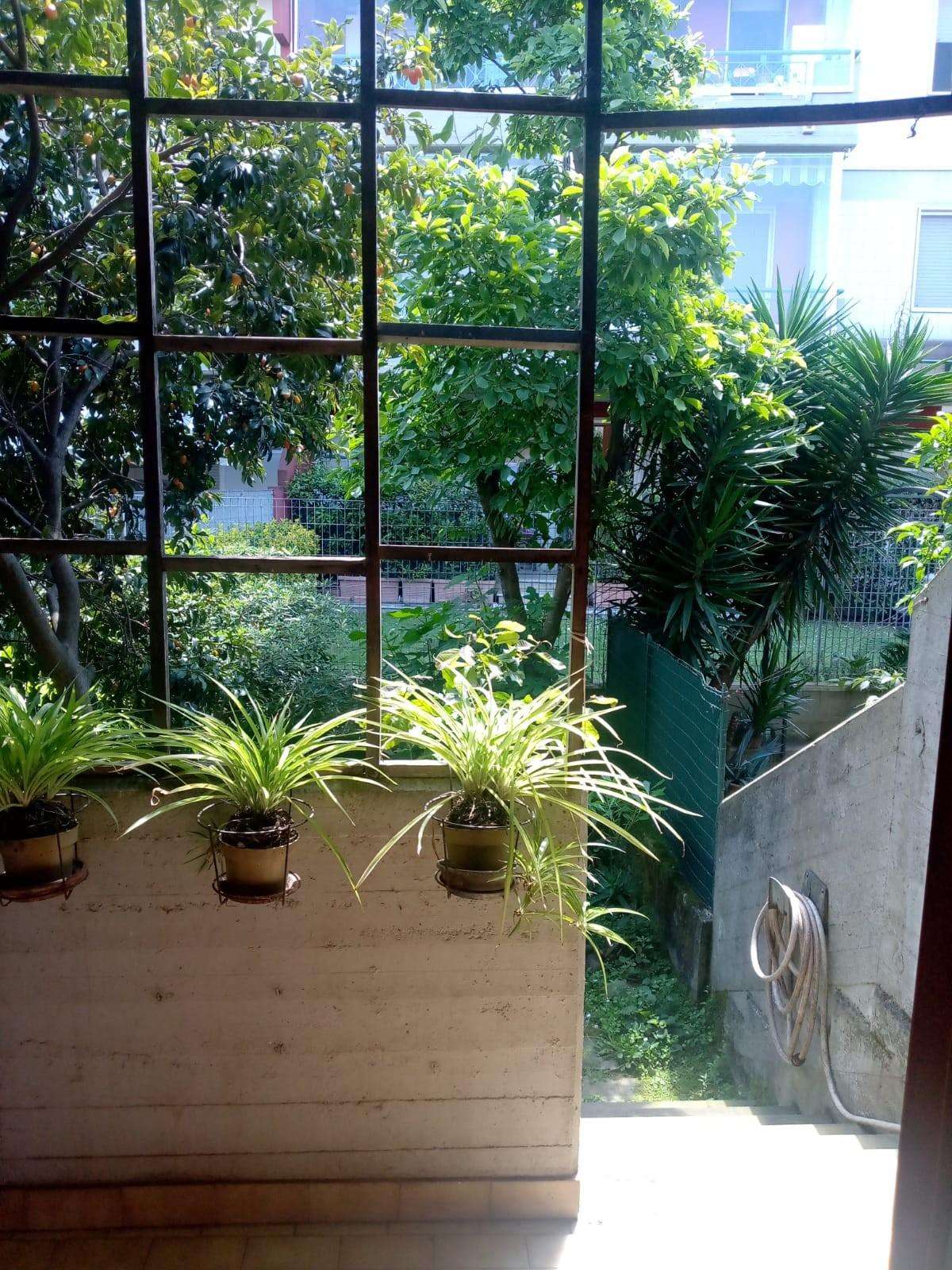  - foto 25