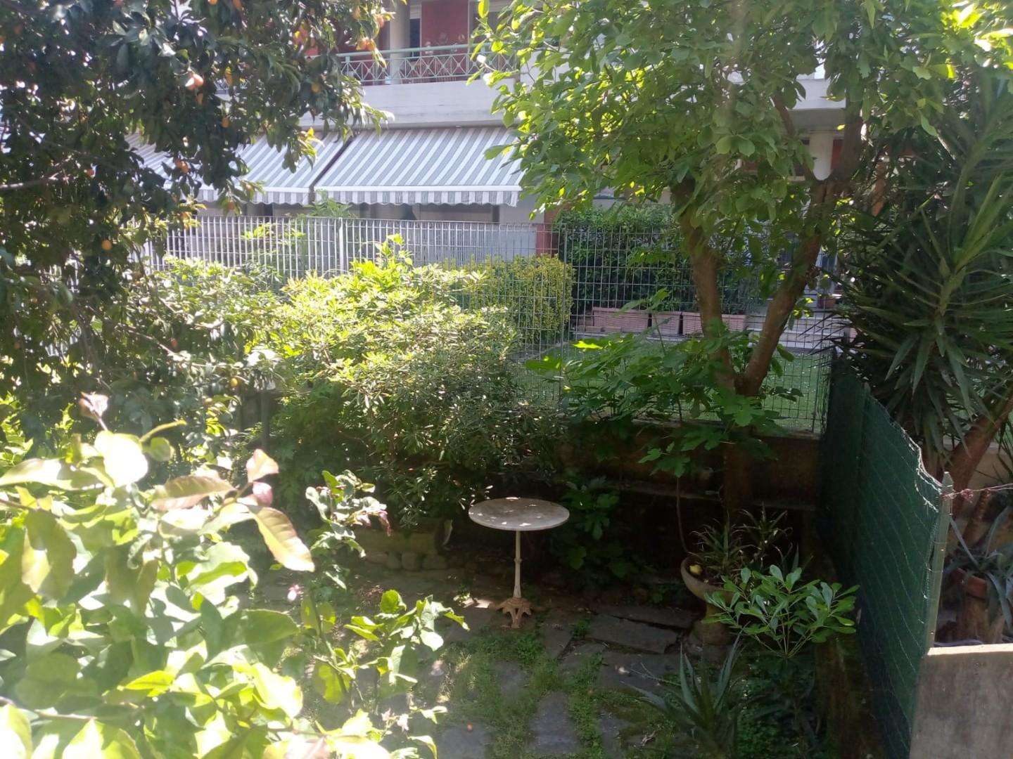  - foto 26