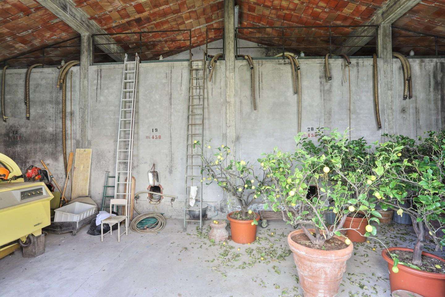  - foto 23