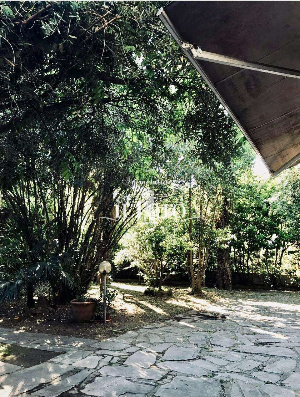  - foto 6