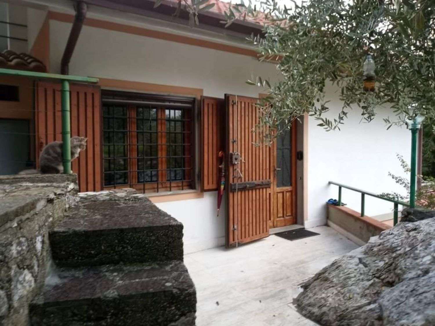 immagine annuncio 3 di 12