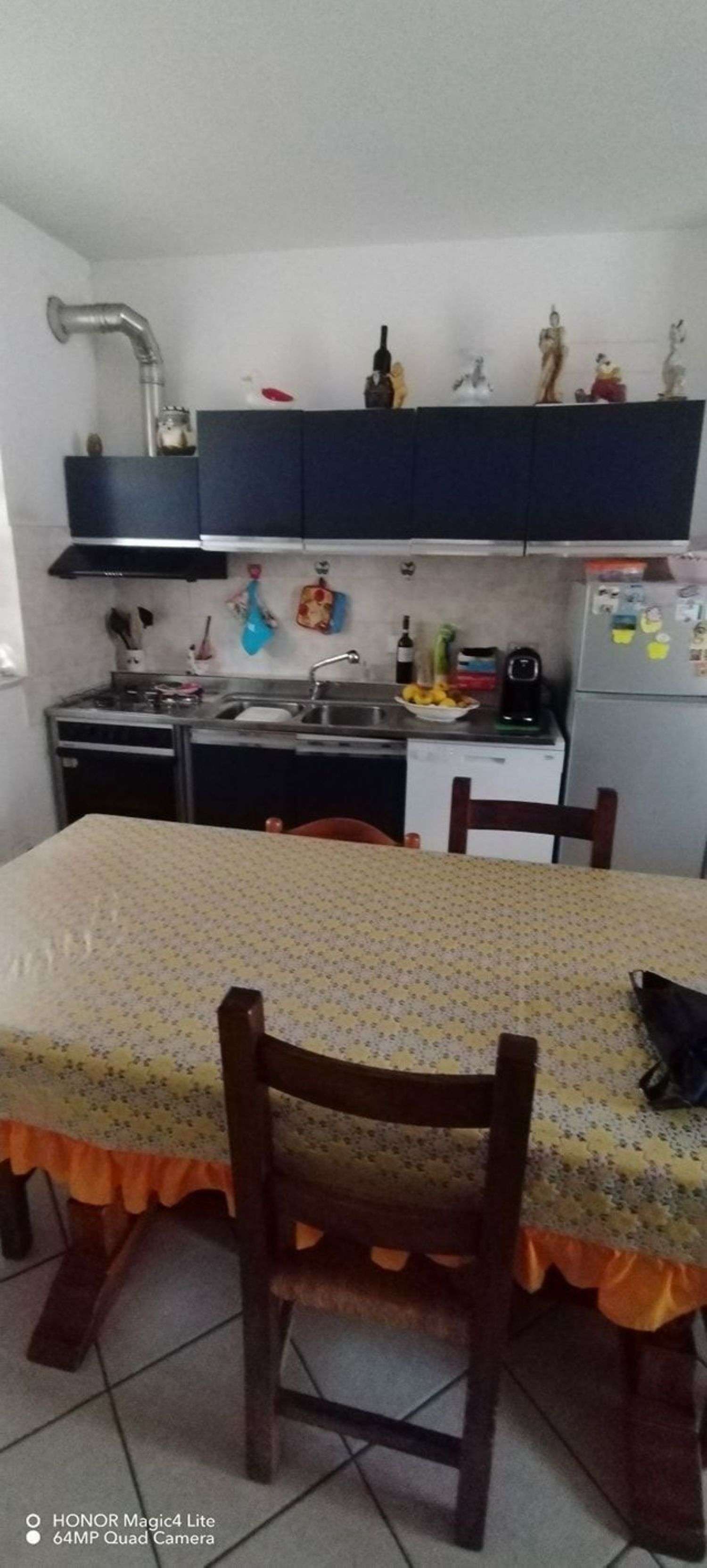 immagine annuncio 2 di 13