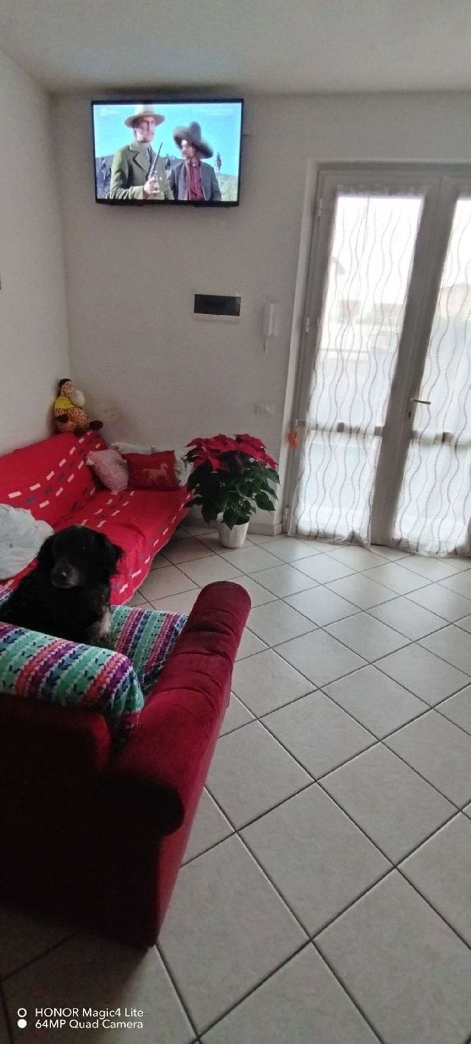 immagine annuncio 10 di 13
