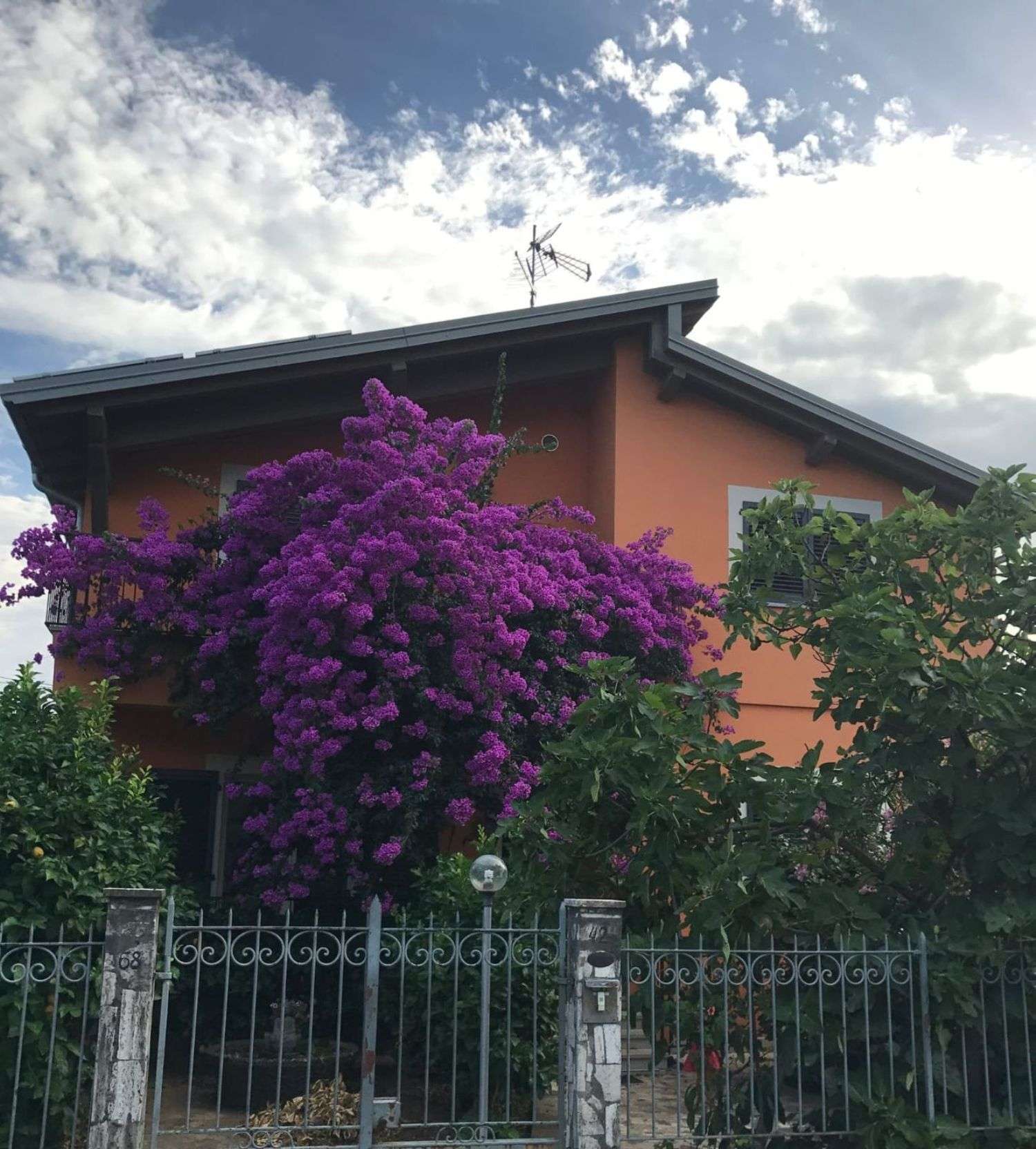 immagine annuncio 11 di 15