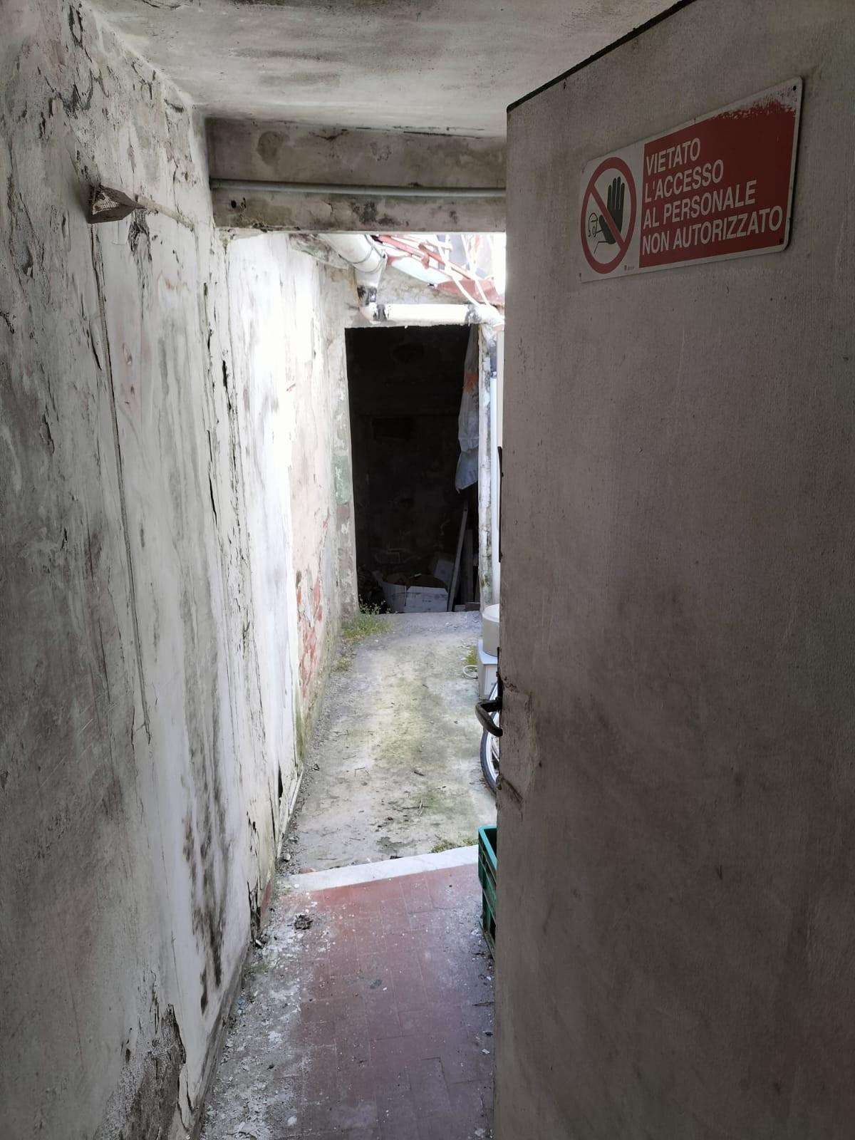 immagine annuncio 4 di 7