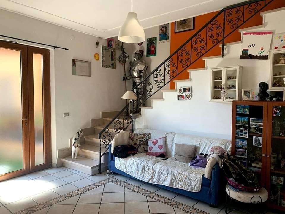 immagine annuncio 11 di 15