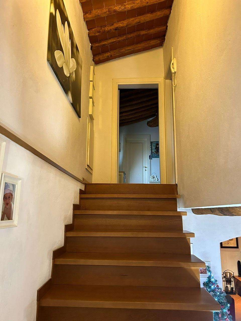  - foto 13