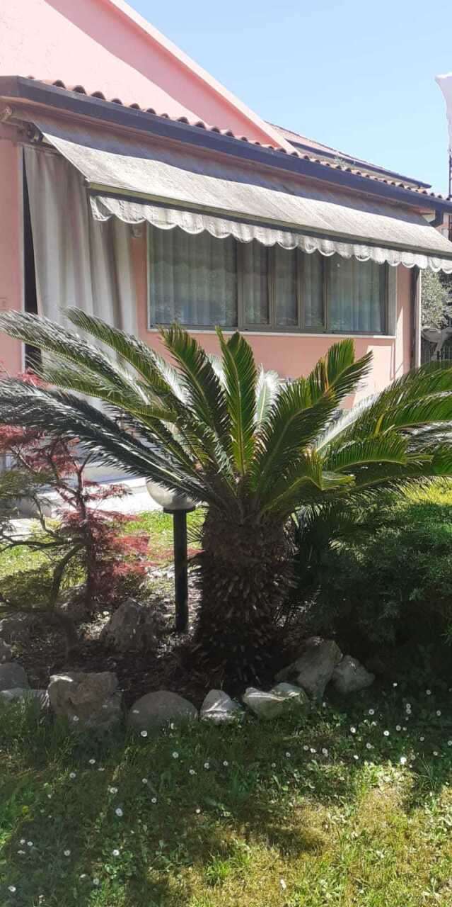 - foto 7