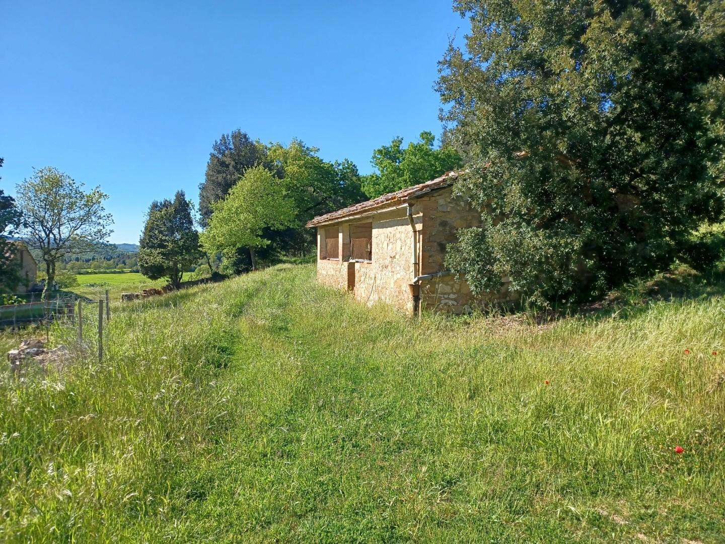  - foto 42