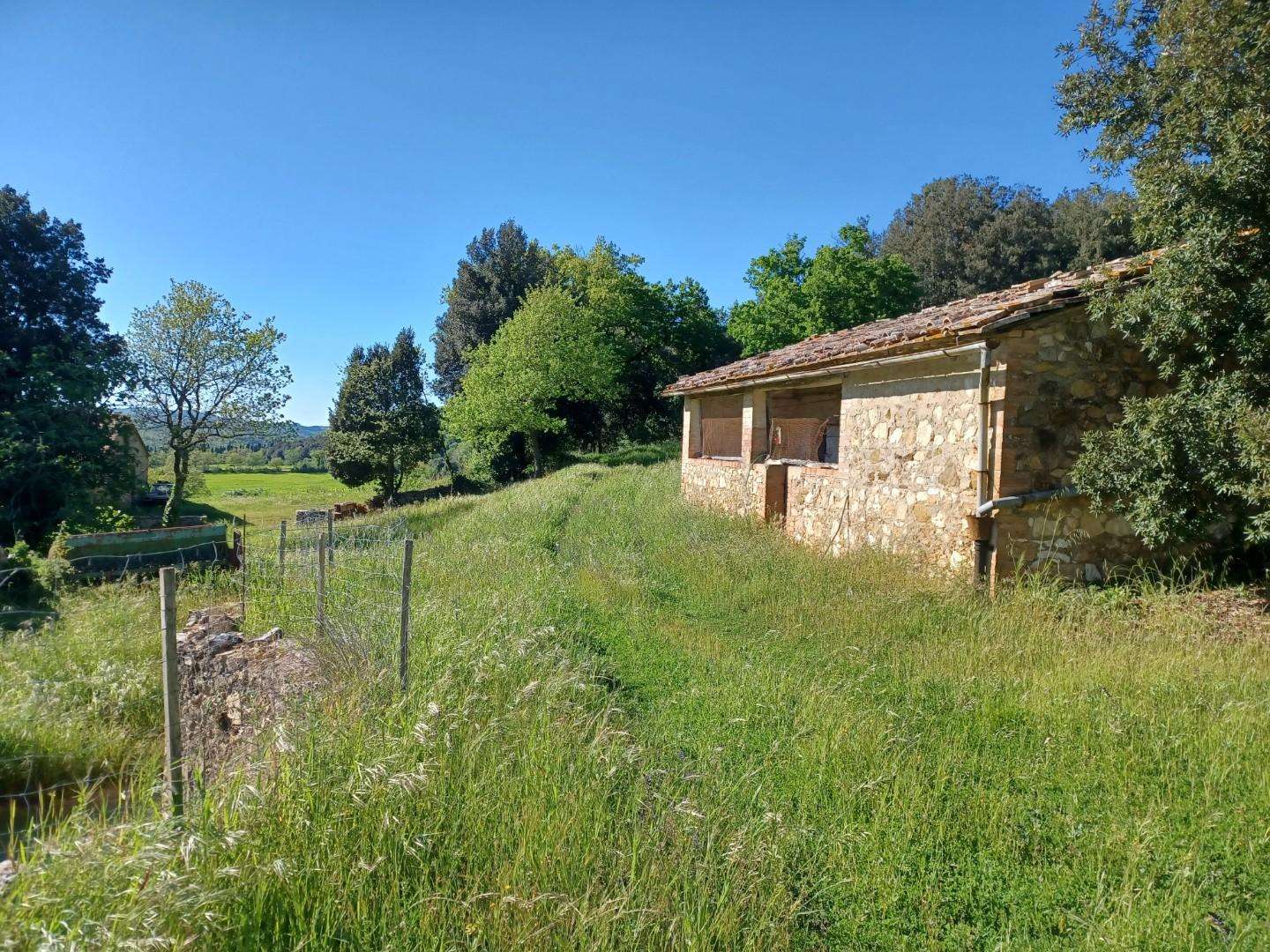  - foto 43