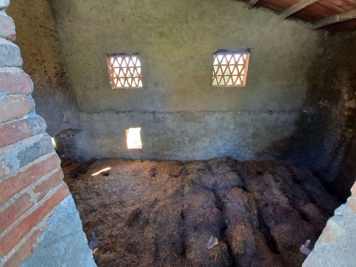  - foto 46