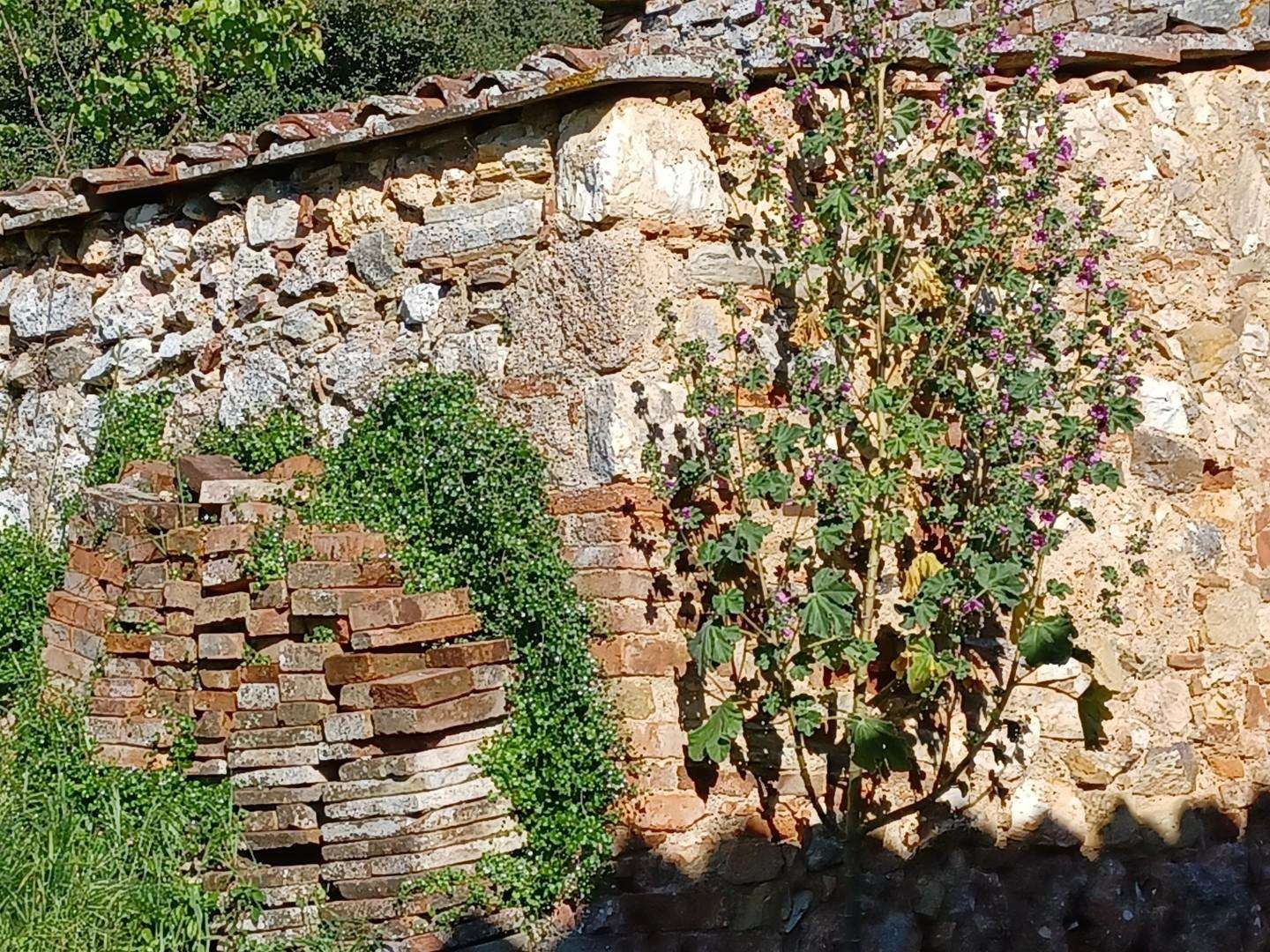  - foto 14