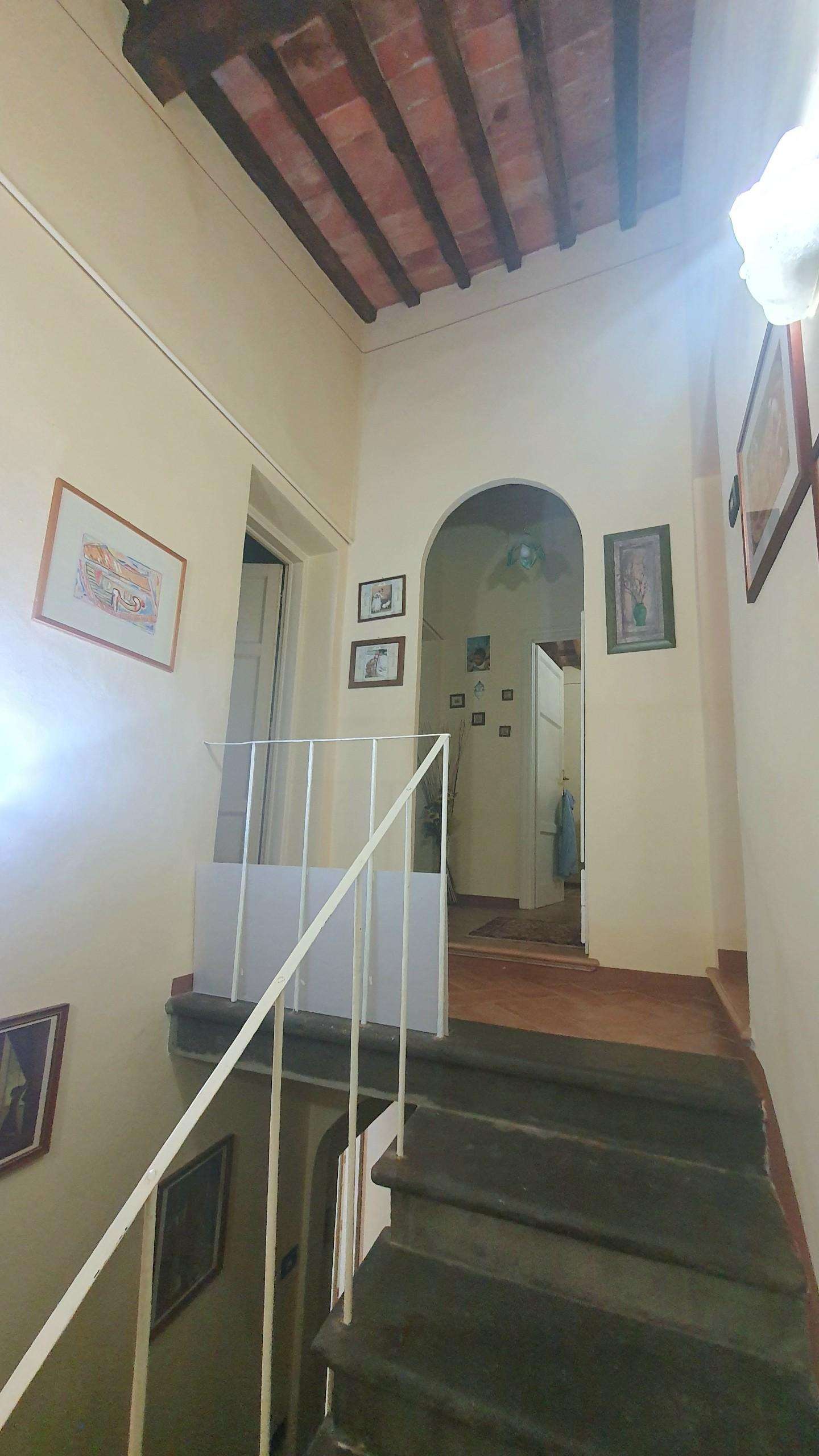  - foto 14