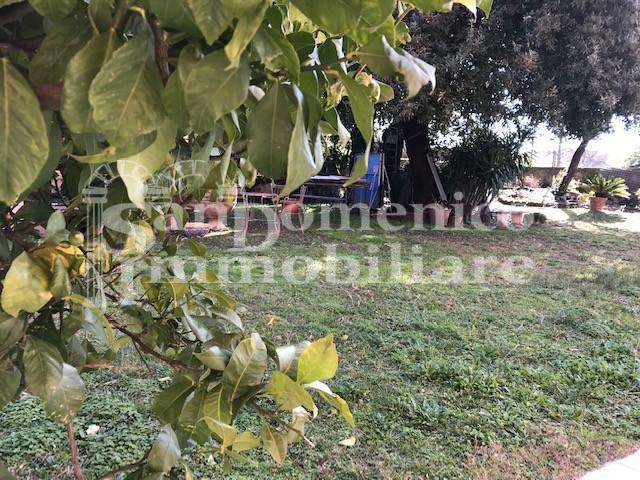  - foto 15