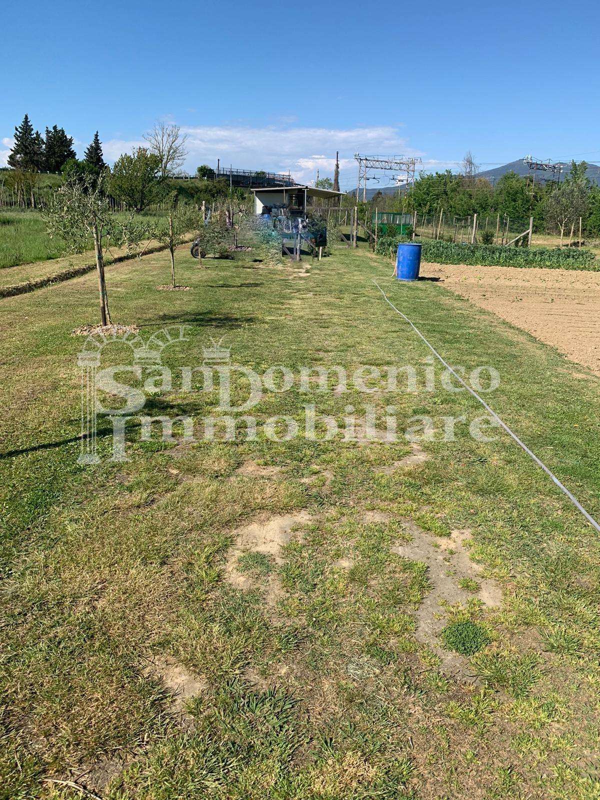 Terreno agricolo in Vendita a Pisa Cavalcavia Sant 'Ermete Nord,