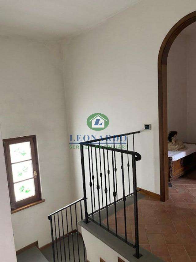  - foto 19