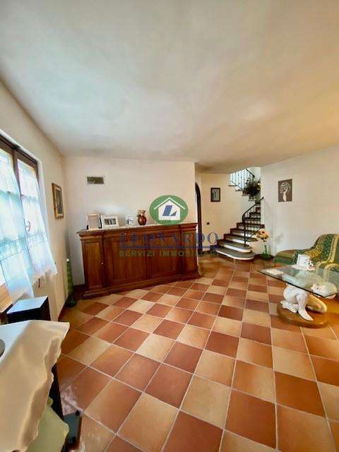 - foto 7