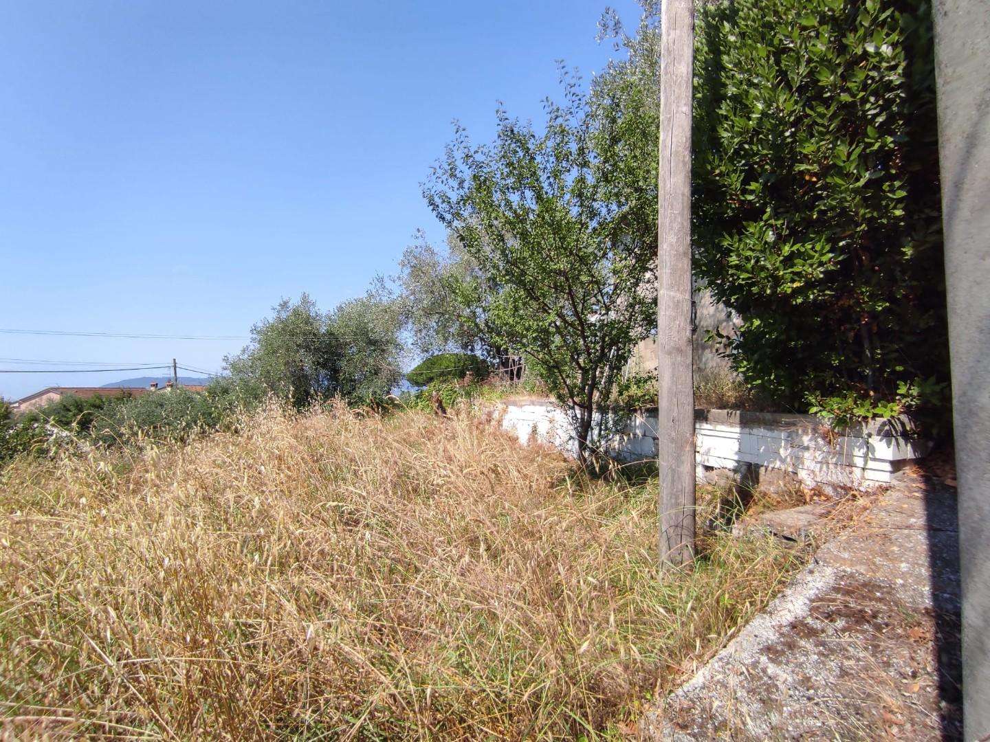  - foto 15