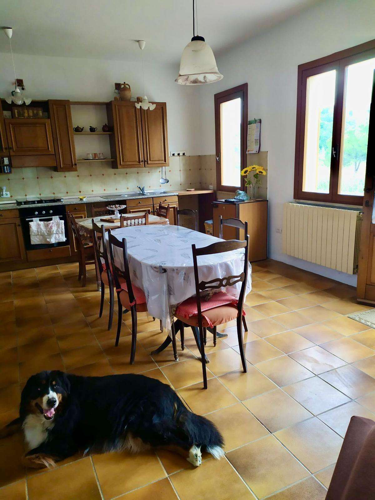  - foto 10