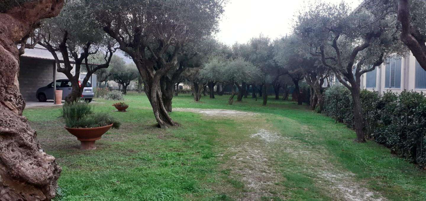  - foto 8