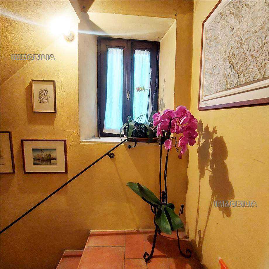  - foto 29
