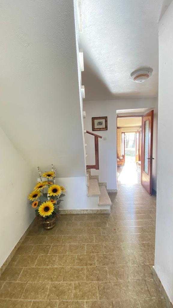  - foto 31