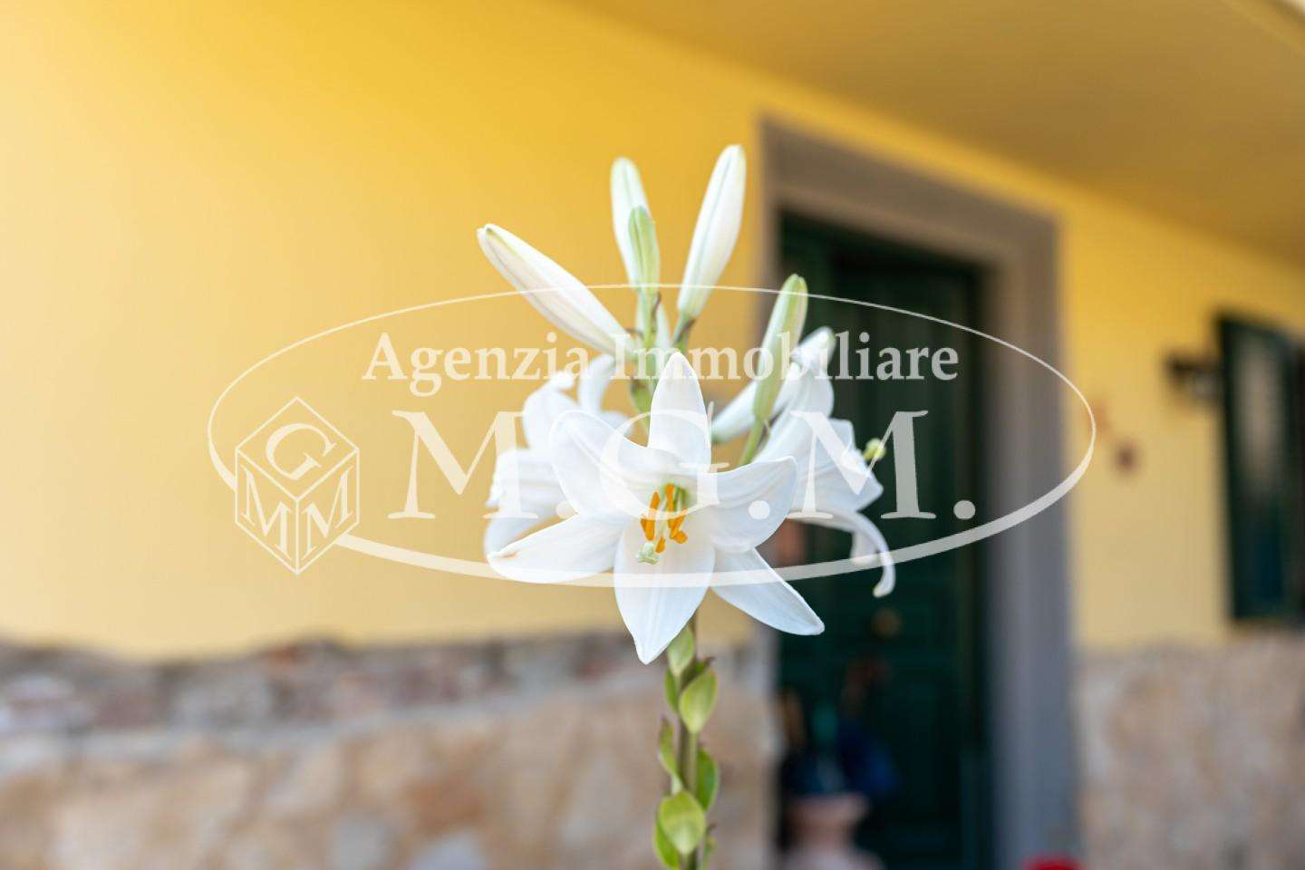  - foto 26