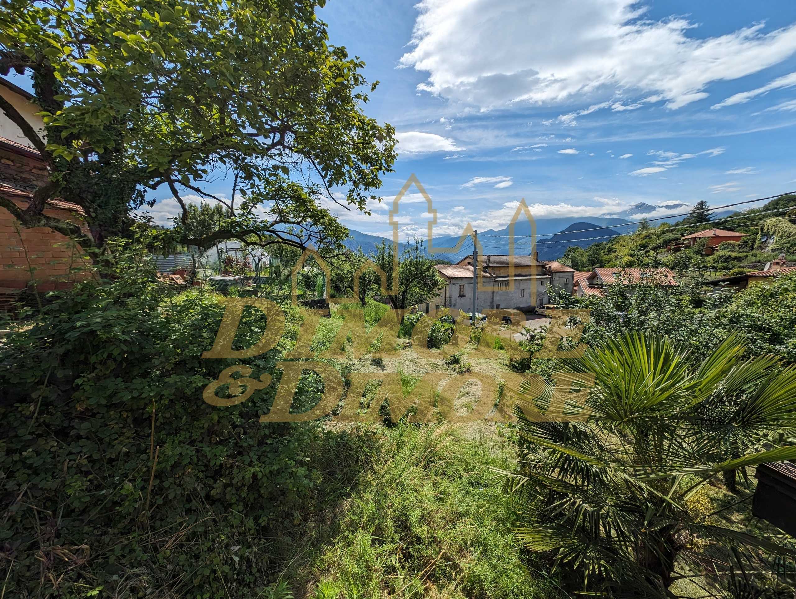 immagine annuncio 3 di 9