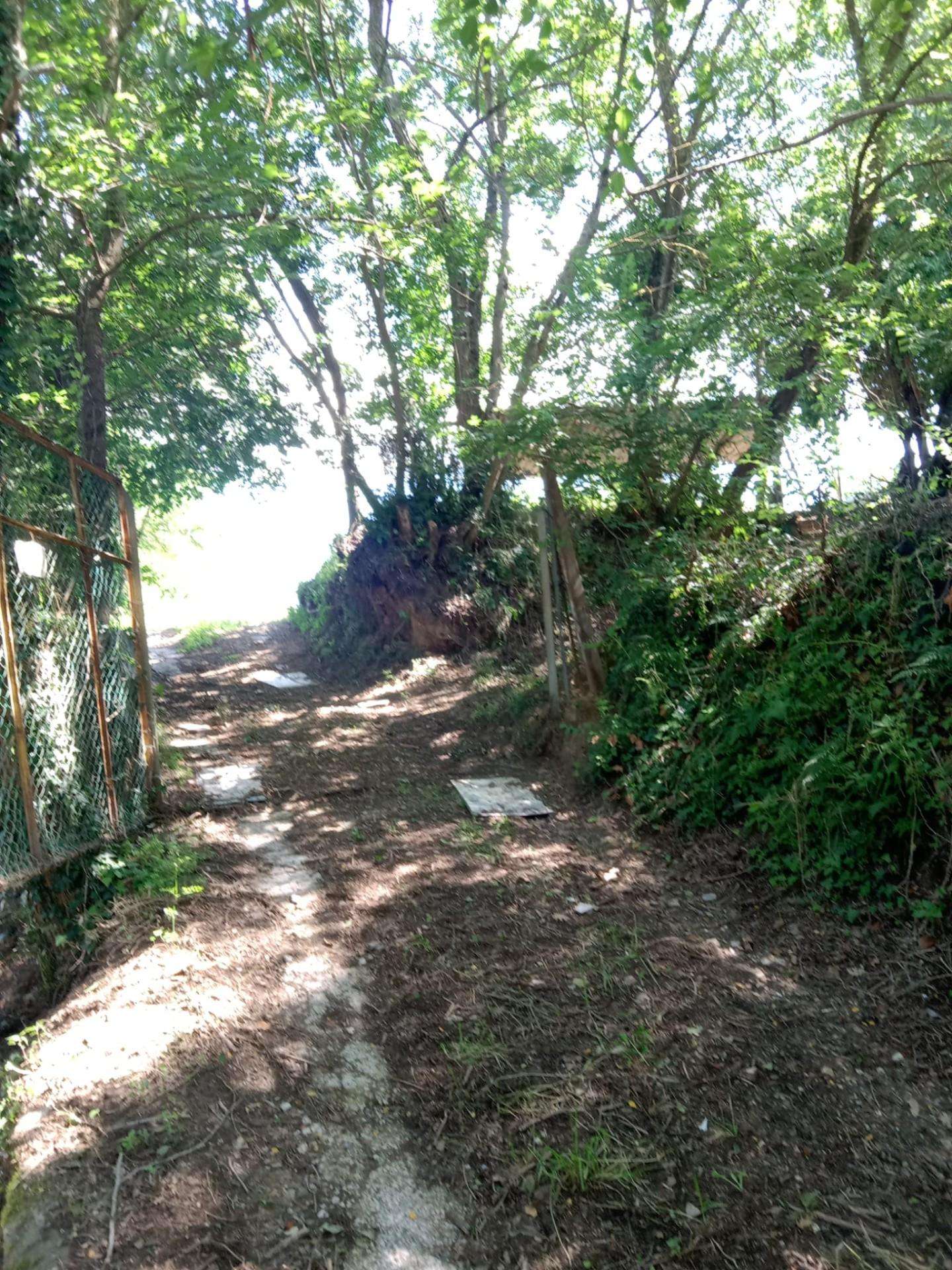 Terreno agricolo City, Crespina Lorenzana