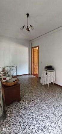  - foto 25