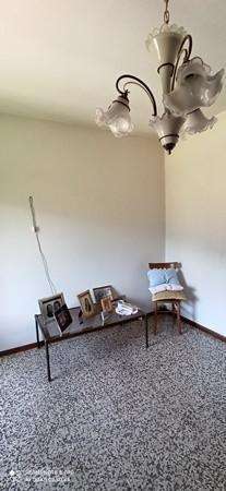  - foto 50