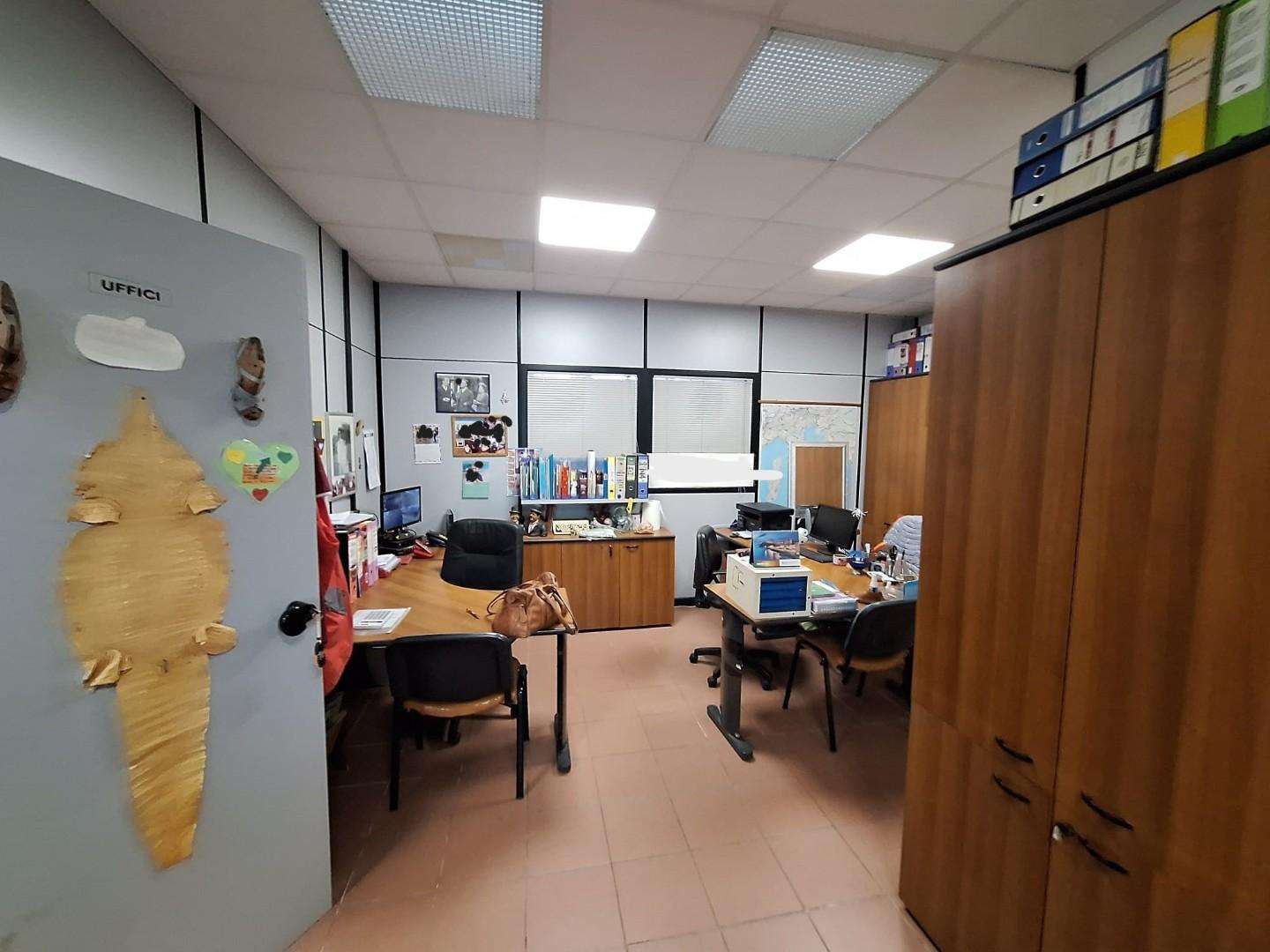 immagine annuncio 3 di 12