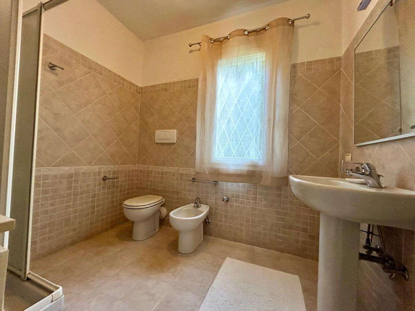  - foto 30