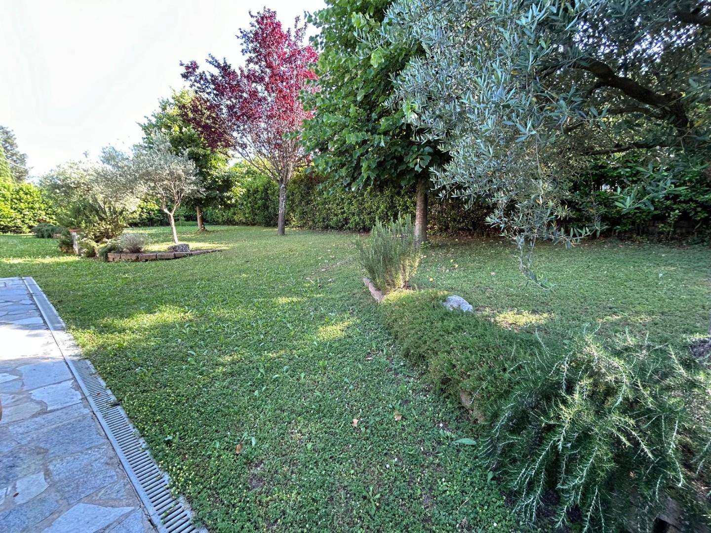  - foto 4