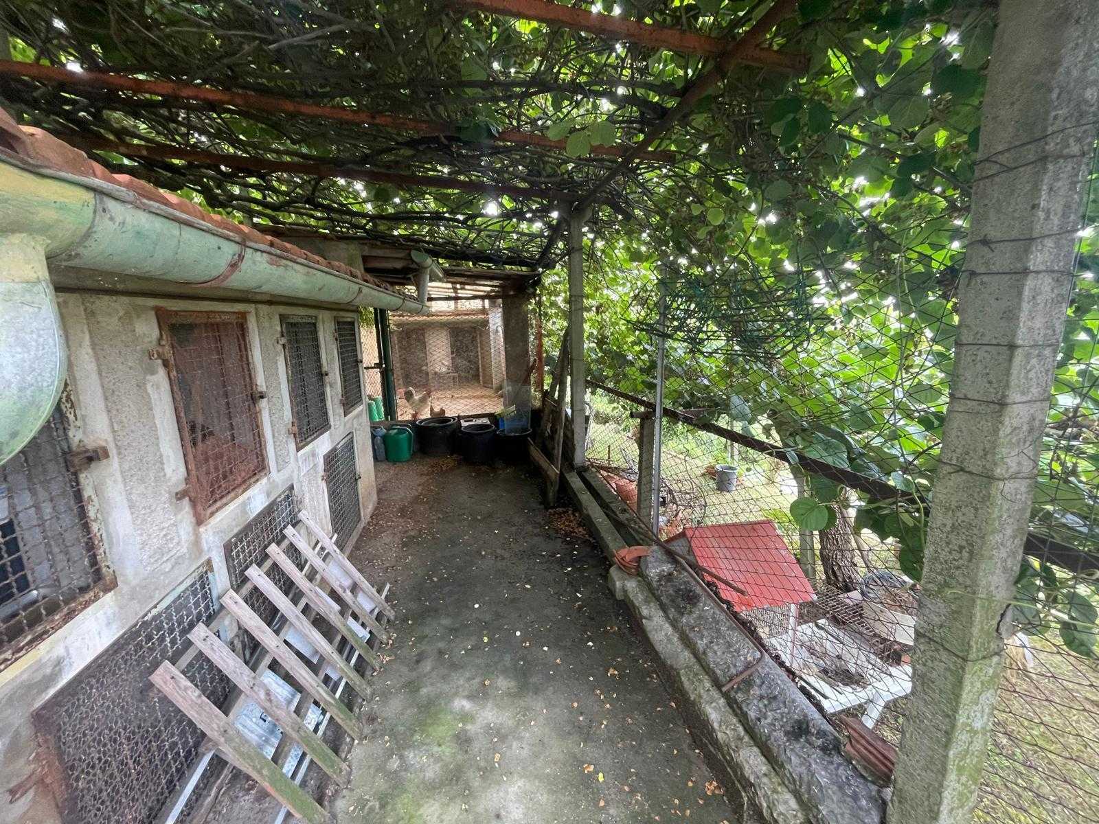  - foto 64