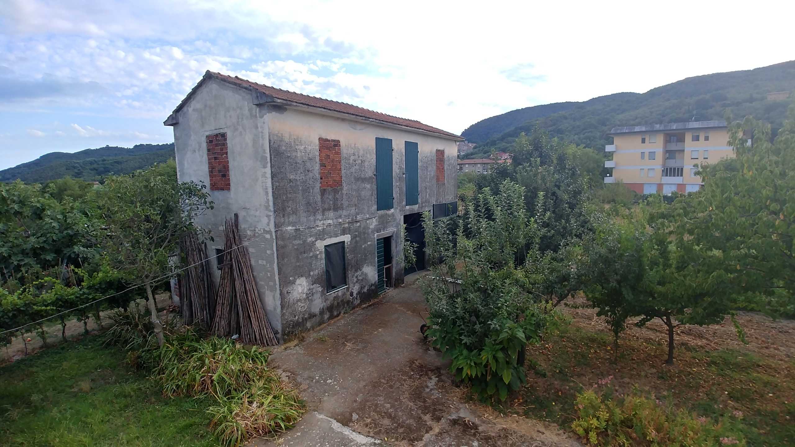immagine annuncio 3 di 13
