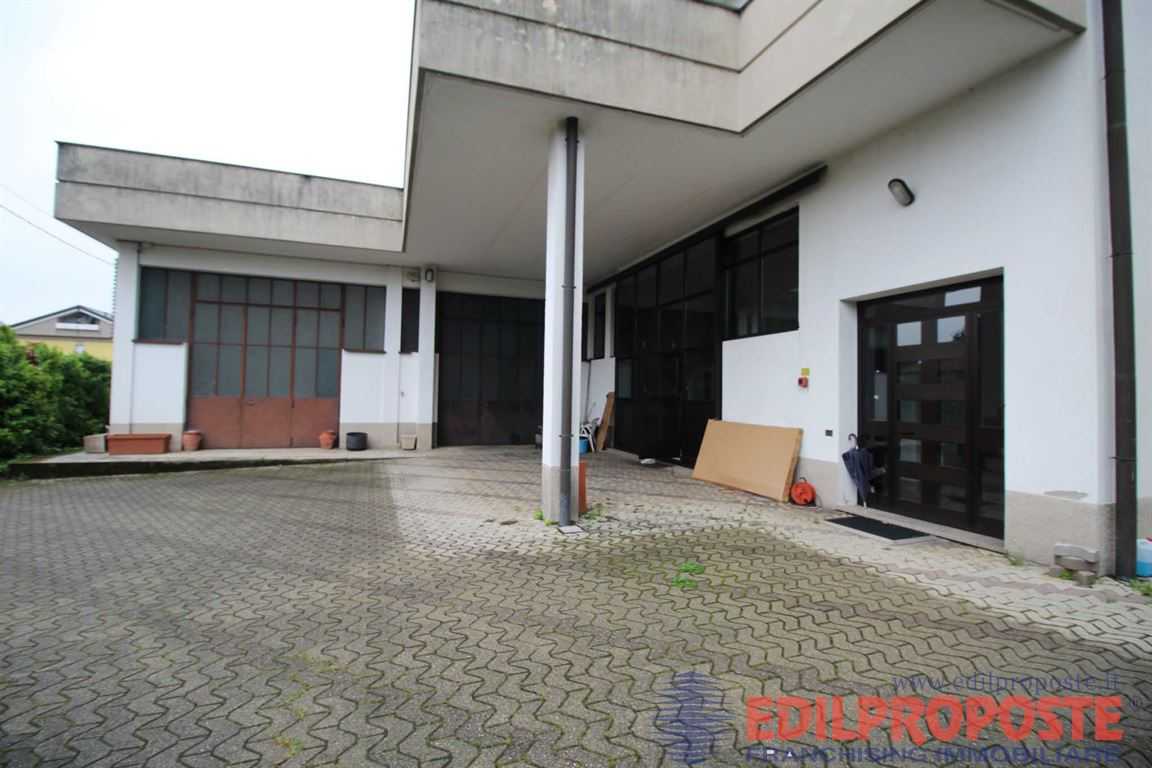 immagine annuncio 7 di 12
