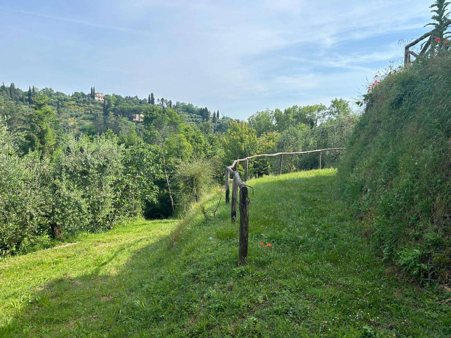  - foto 18