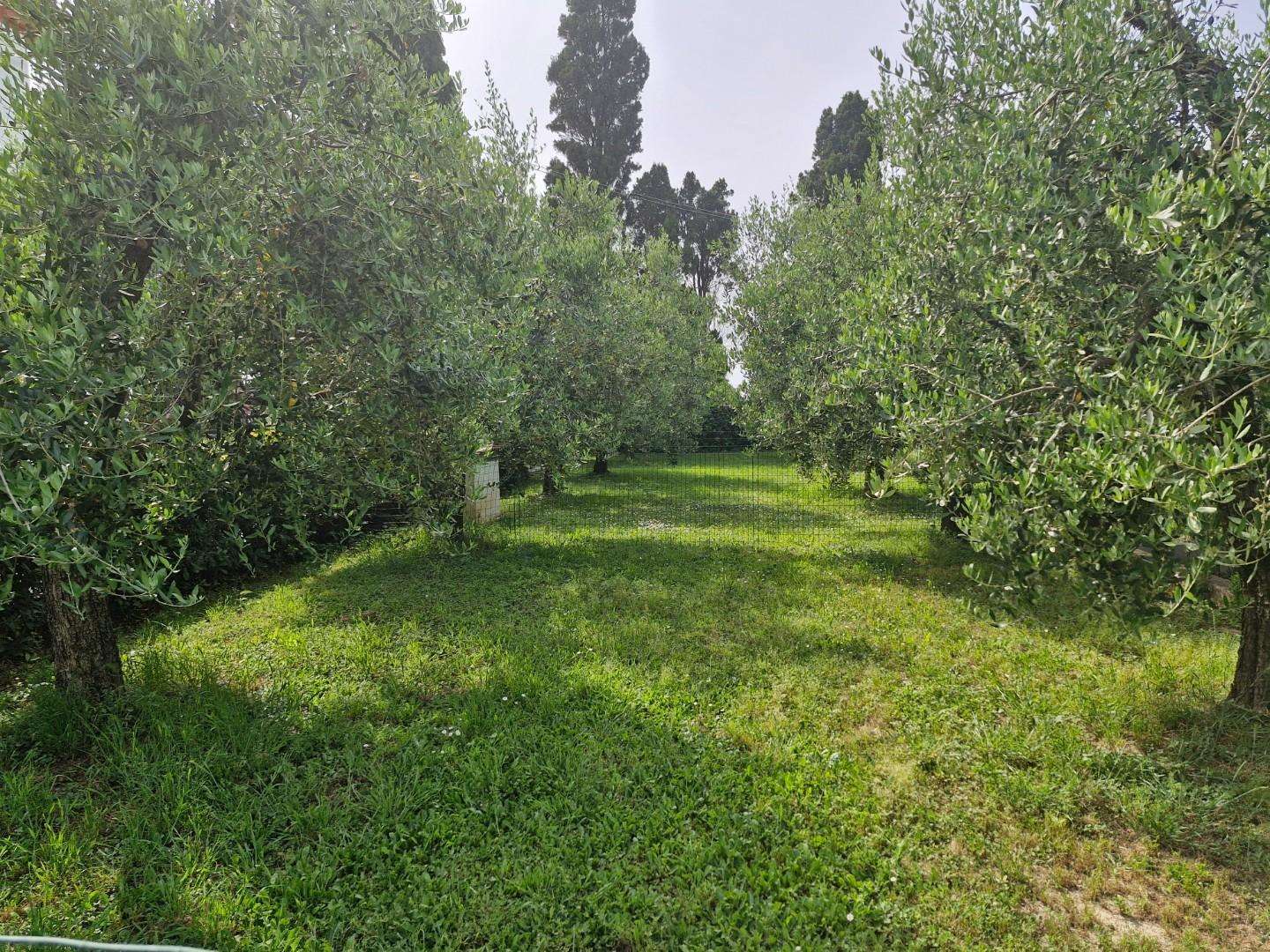  - foto 19
