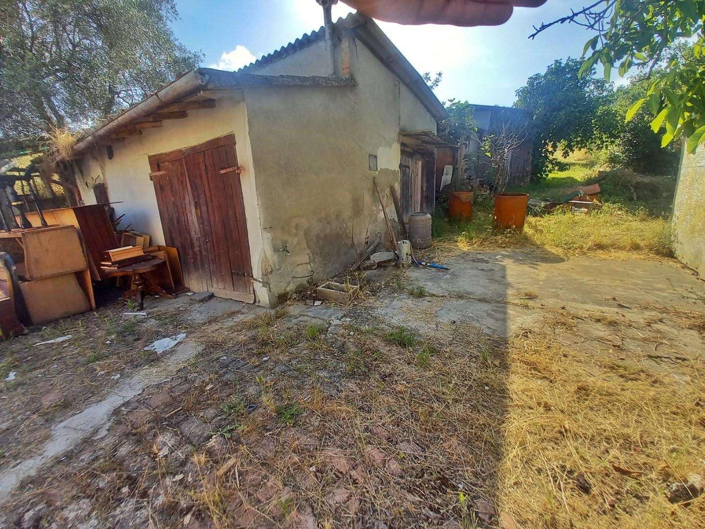  - foto 37