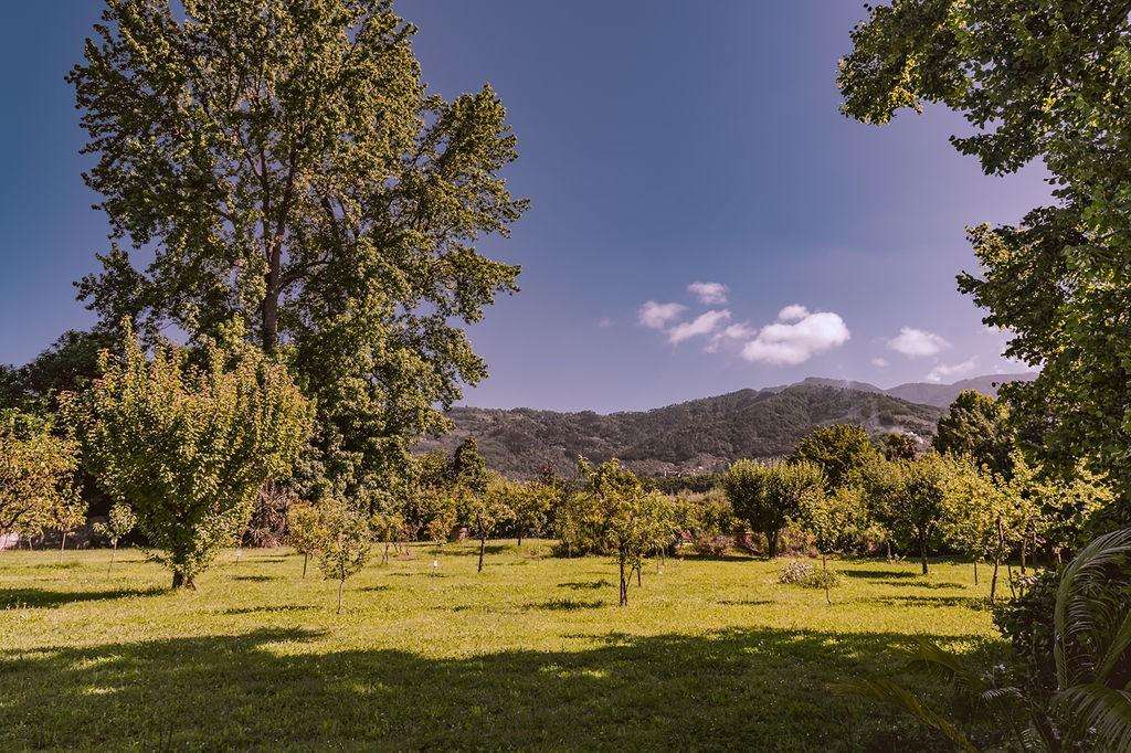  - foto 6