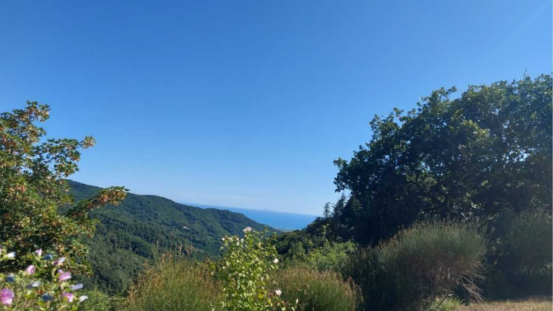  - foto 28