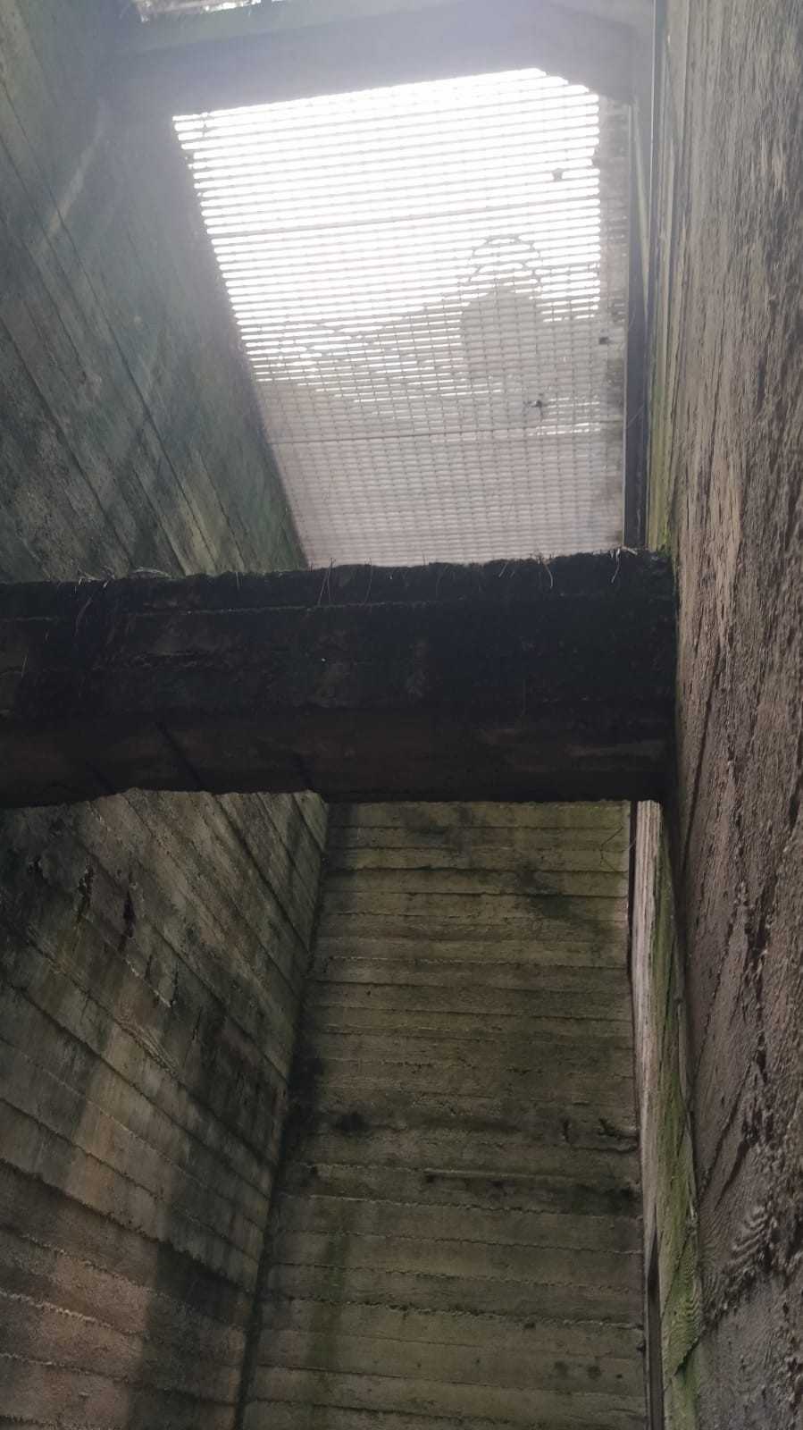 - foto 12