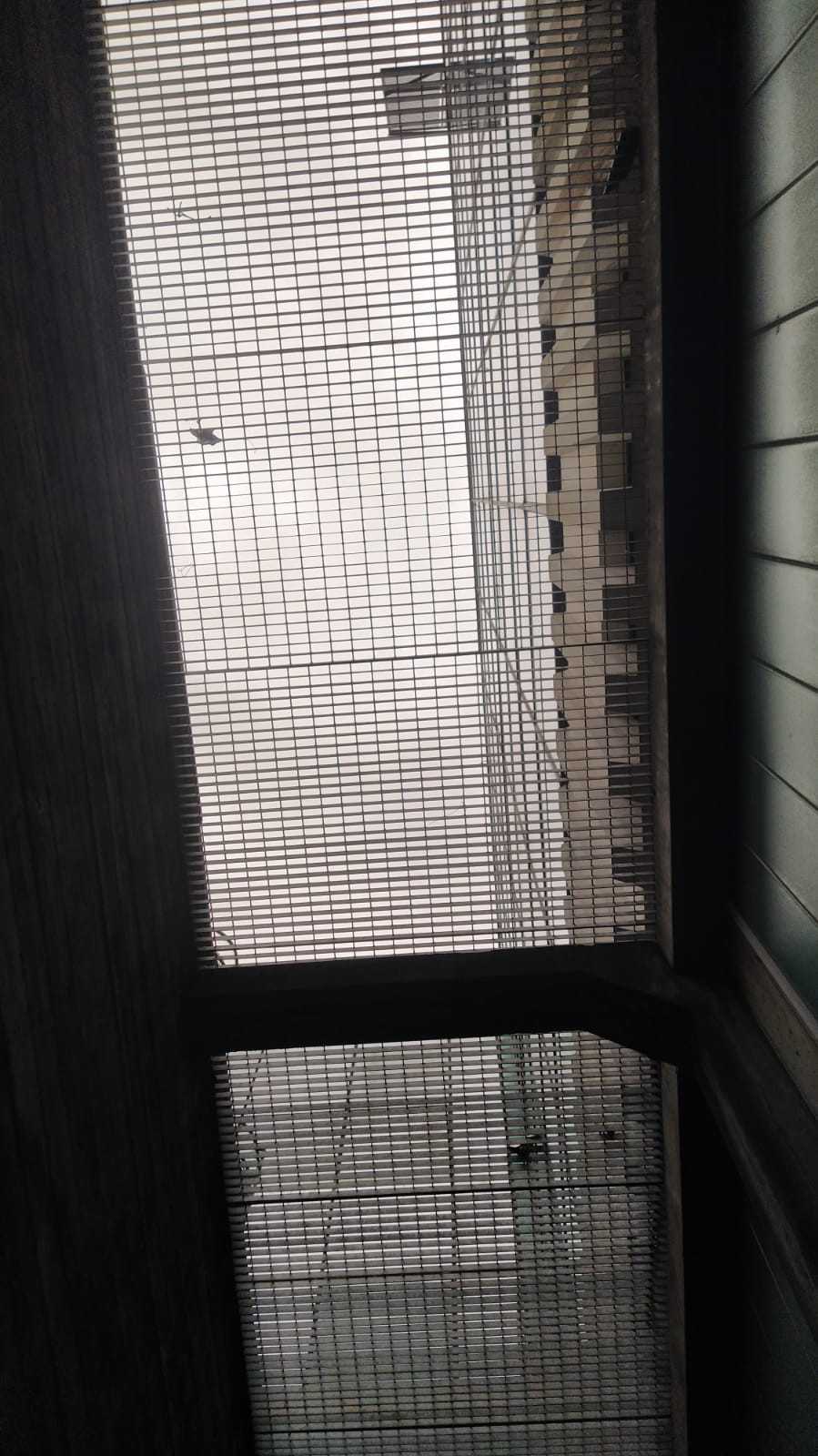  - foto 16