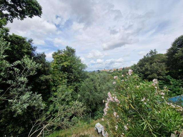  - foto 16