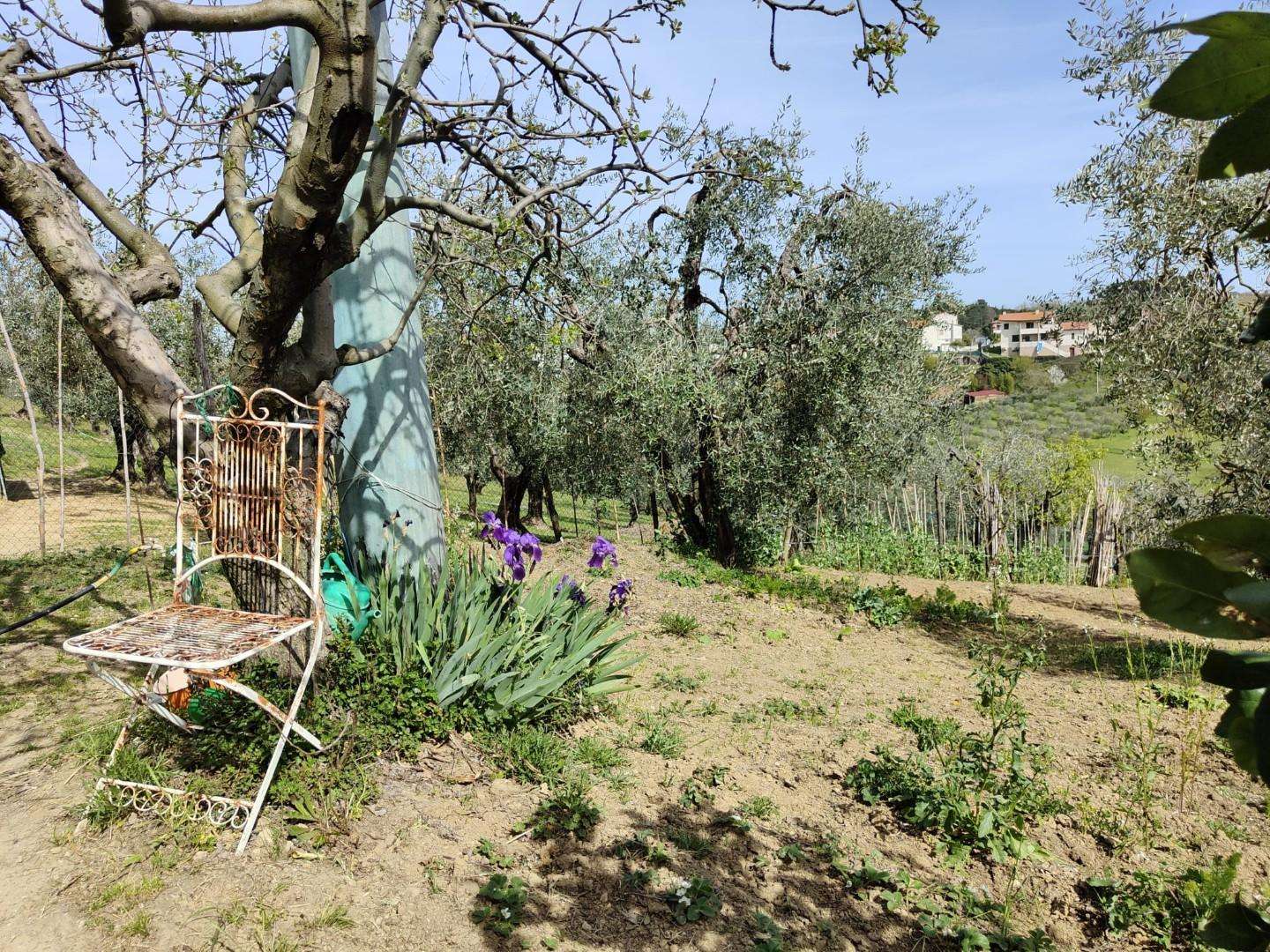 immagine annuncio 11 di 15