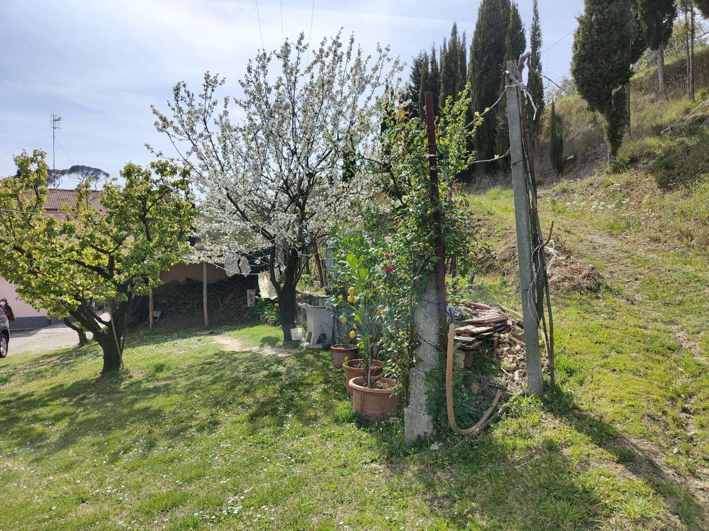  - foto 37