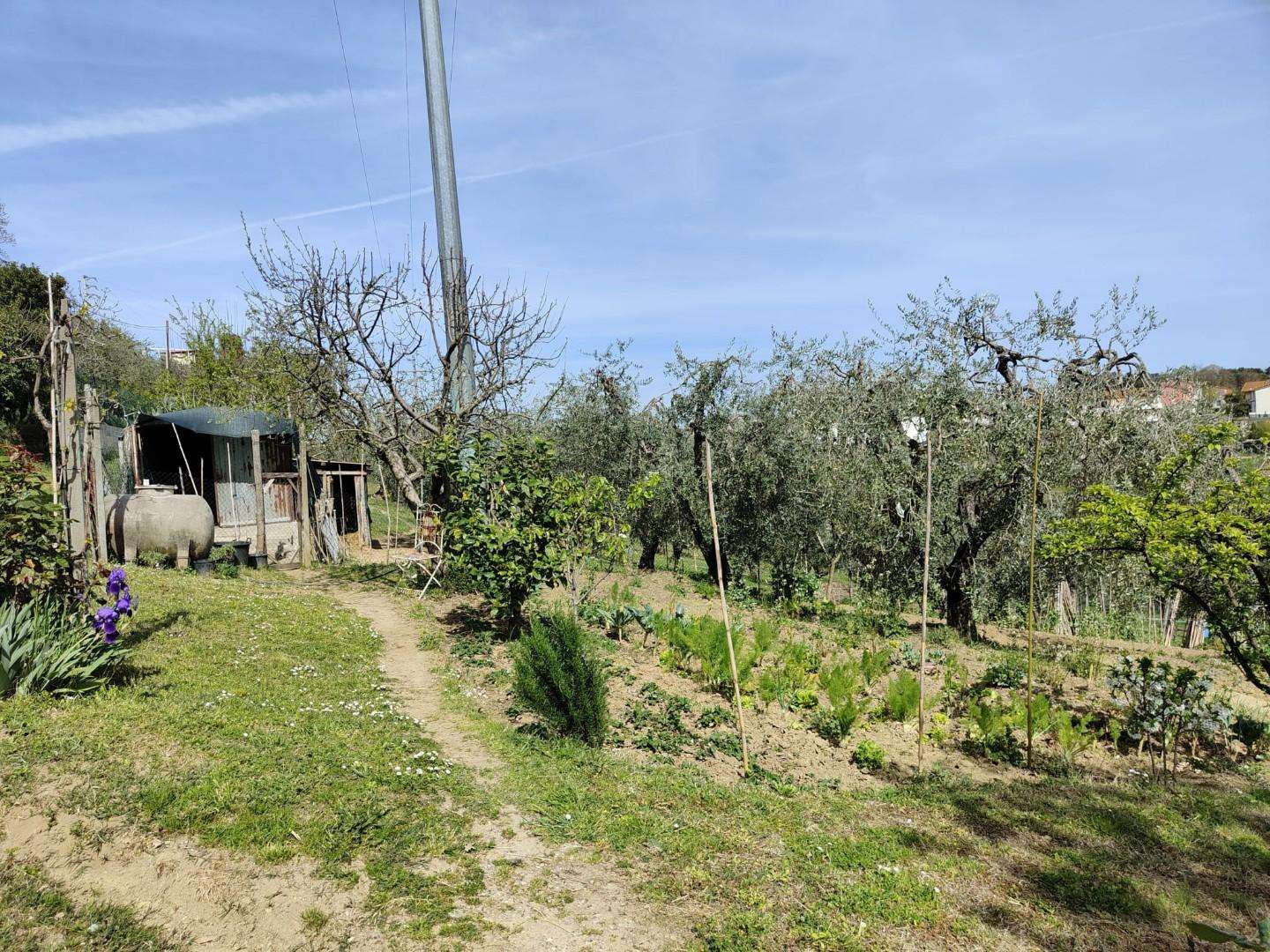  - foto 38