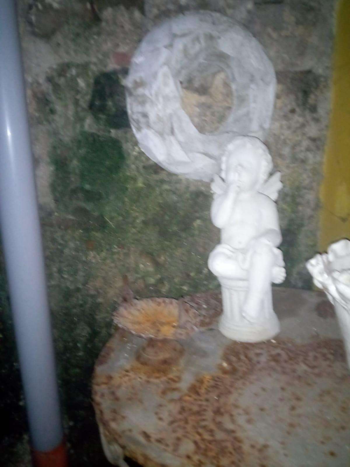  - foto 10