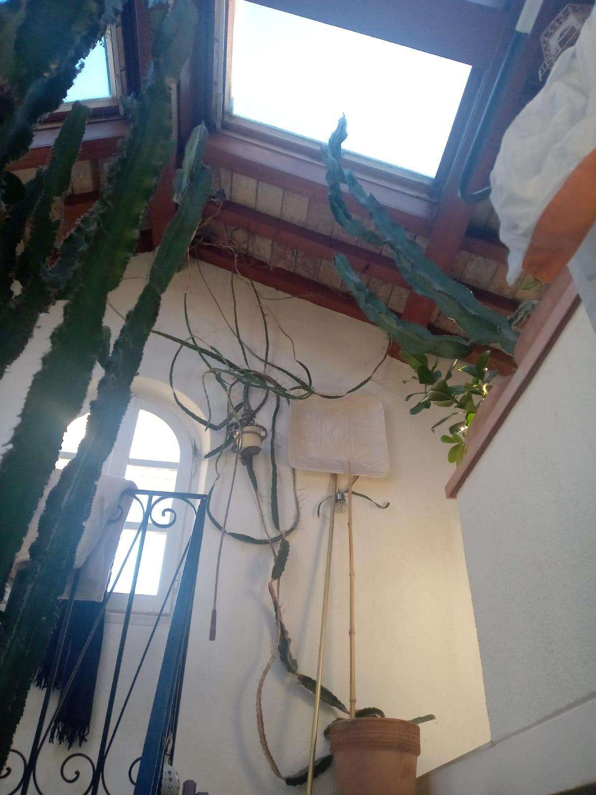  - foto 27